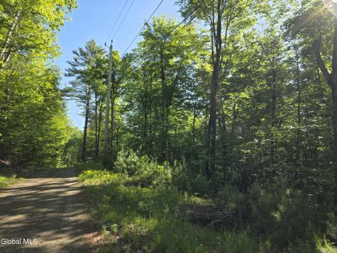 L6 Clearwater Lake Road Brant Lake NY 12815