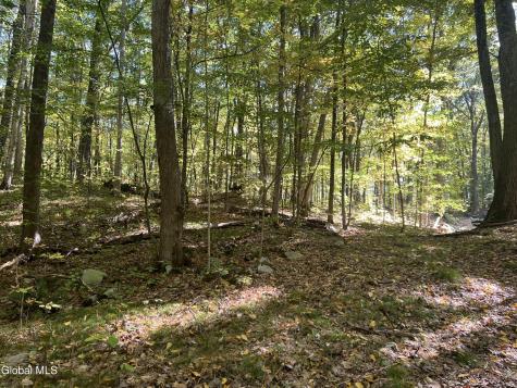 L3 Glen Lake Road Lake George NY 12845