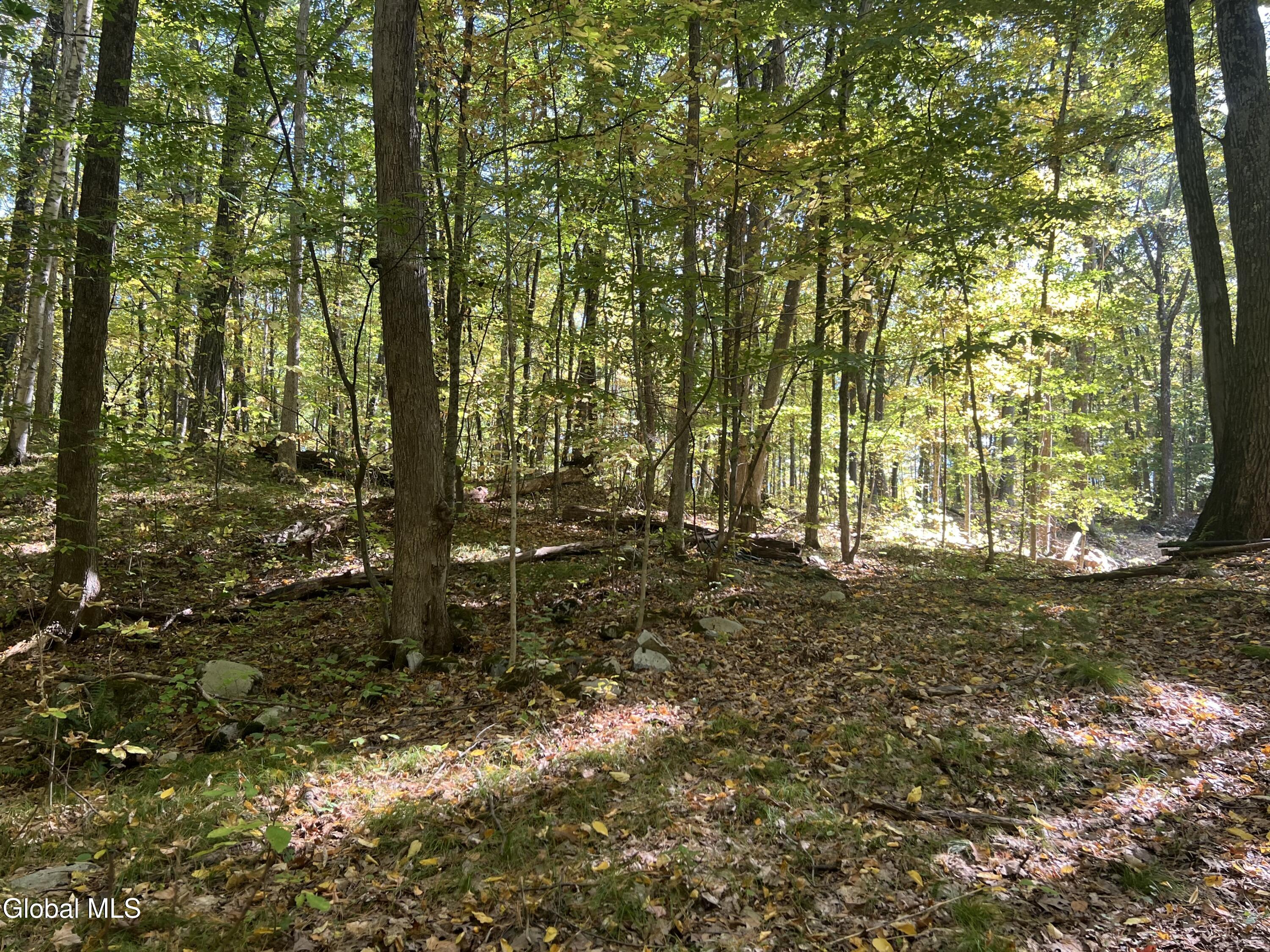 L3 Glen Lake Road Lake George NY 12845