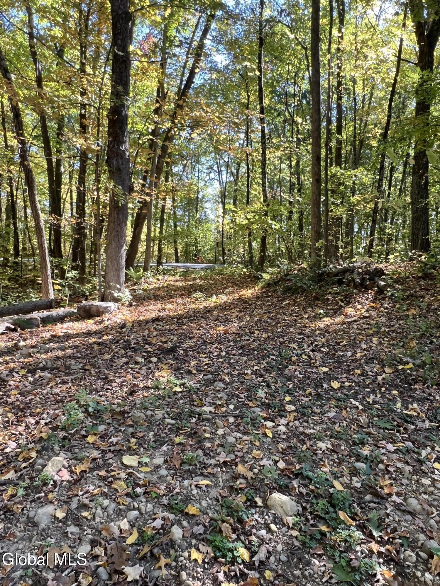 L3 Glen Lake Road Lake George NY 12845