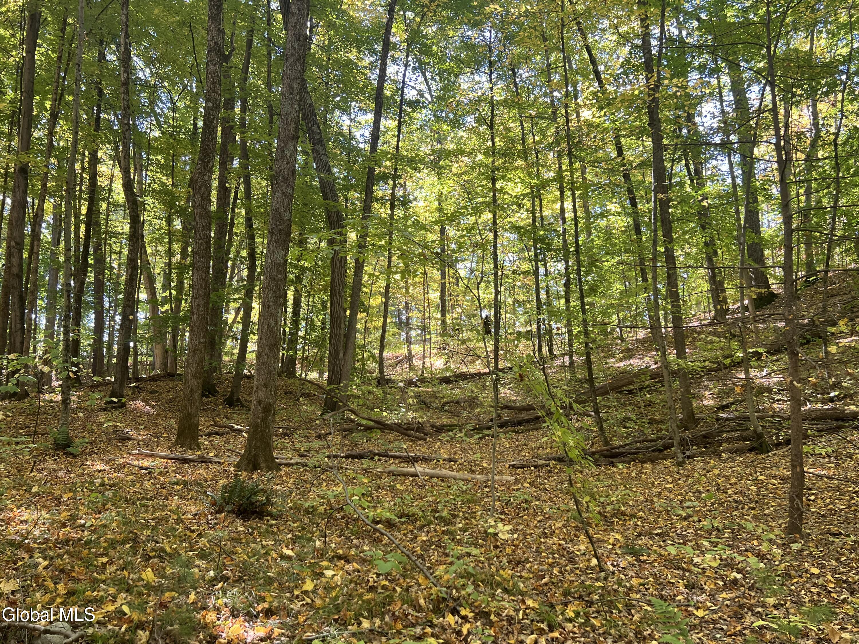 L3 Glen Lake Road Lake George NY 12845