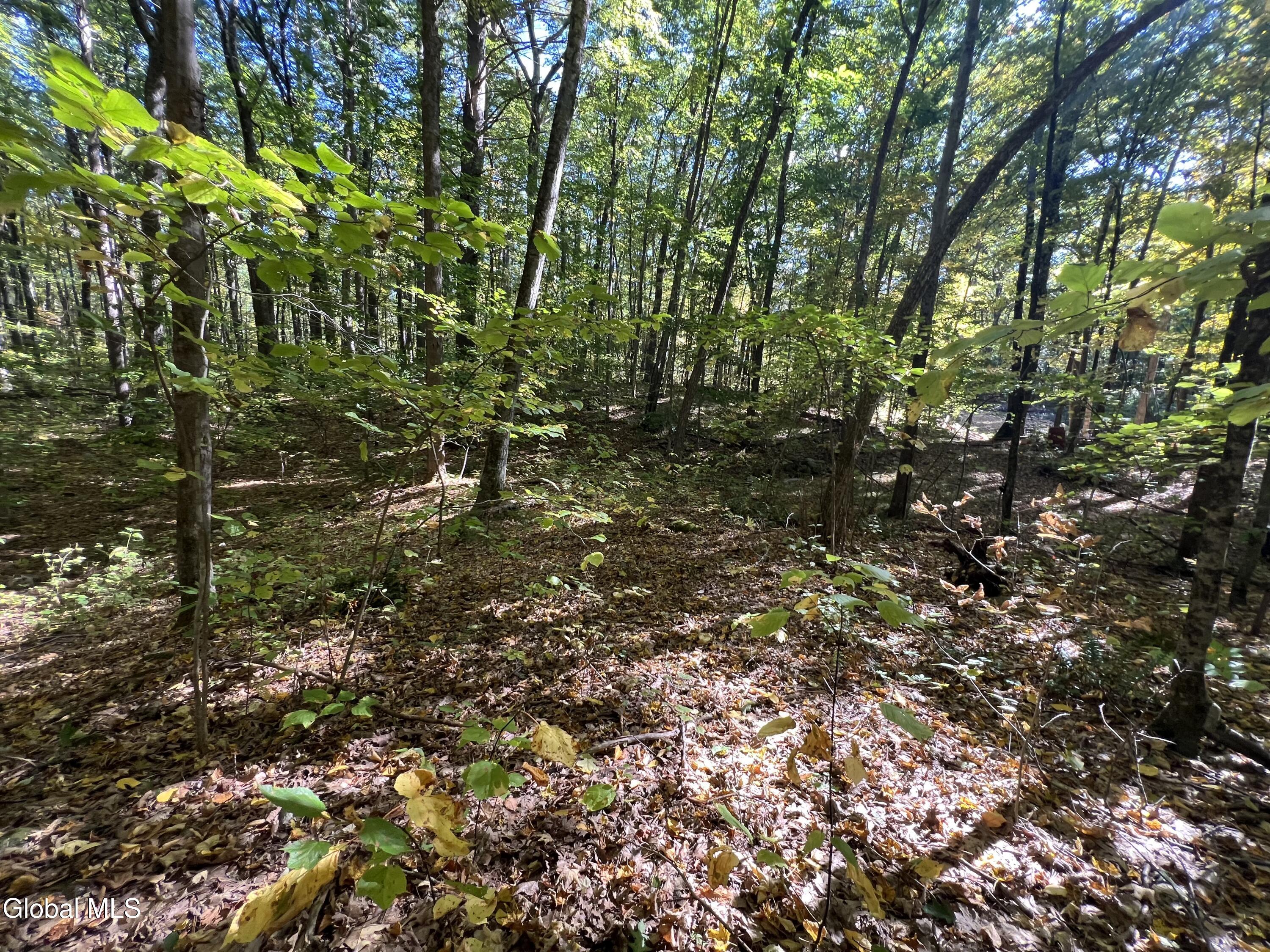 L3 Glen Lake Road Lake George NY 12845