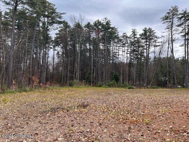 76 S Shore Road Northville NY 12134
