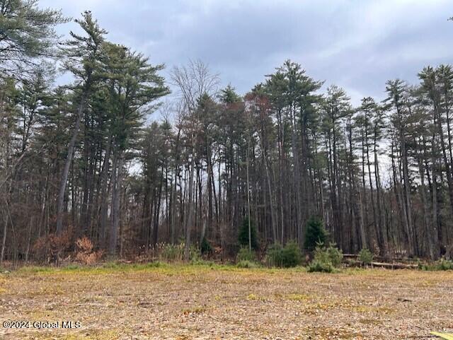 76 S Shore Road Northville NY 12134