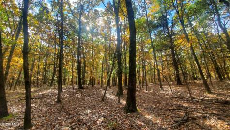L25 Fischer Road Kinderhook NY 12106