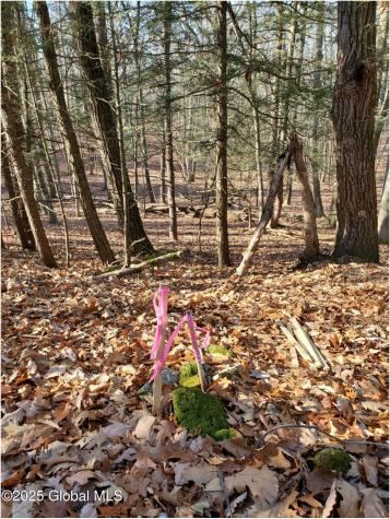 L25 Fischer Road Kinderhook NY 12106
