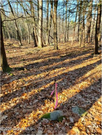 L25 Fischer Road Kinderhook NY 12106
