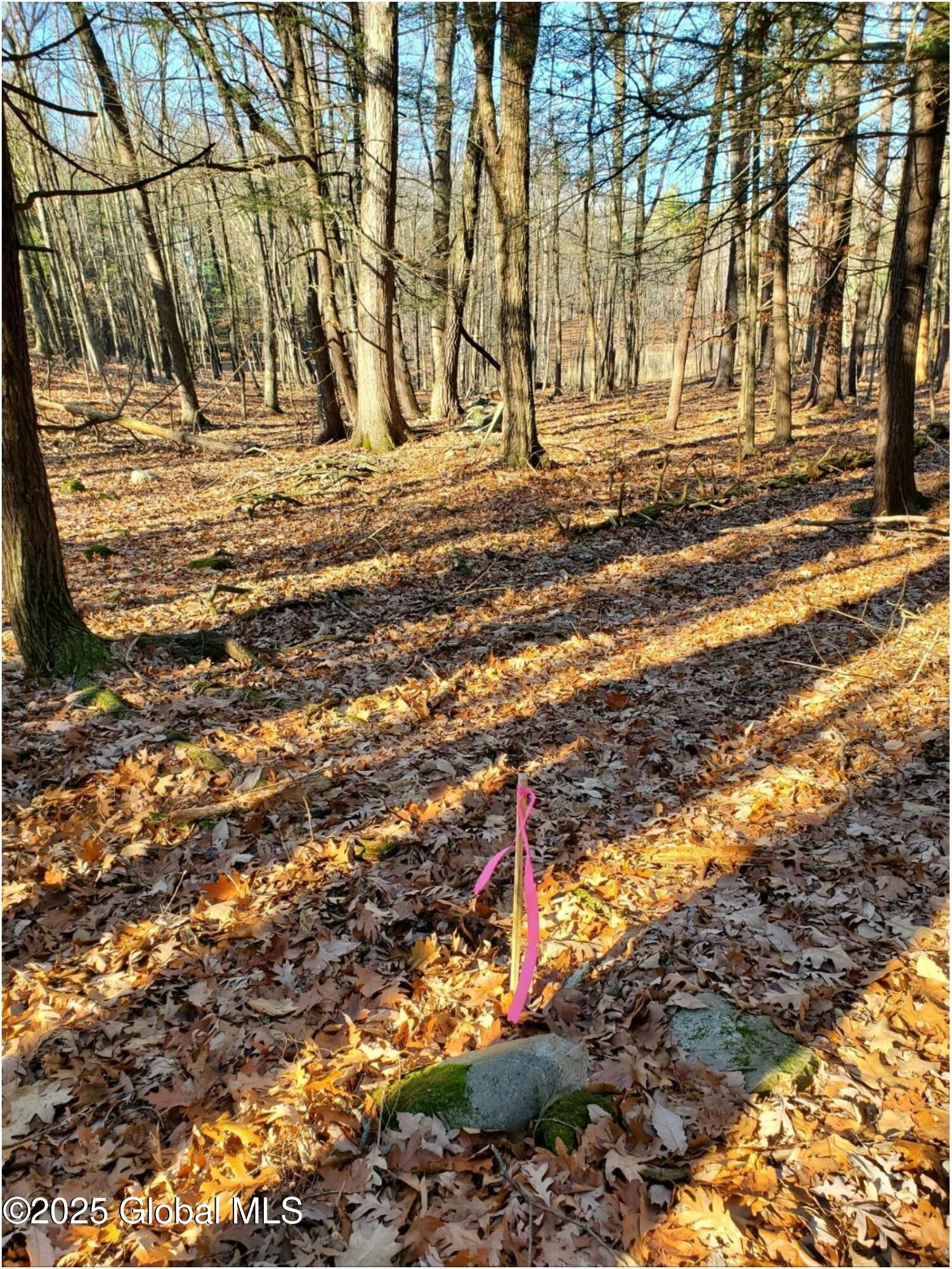 L25 Fischer Road Kinderhook NY 12106