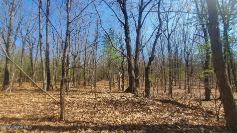 L25 Fischer Road Kinderhook NY 12106