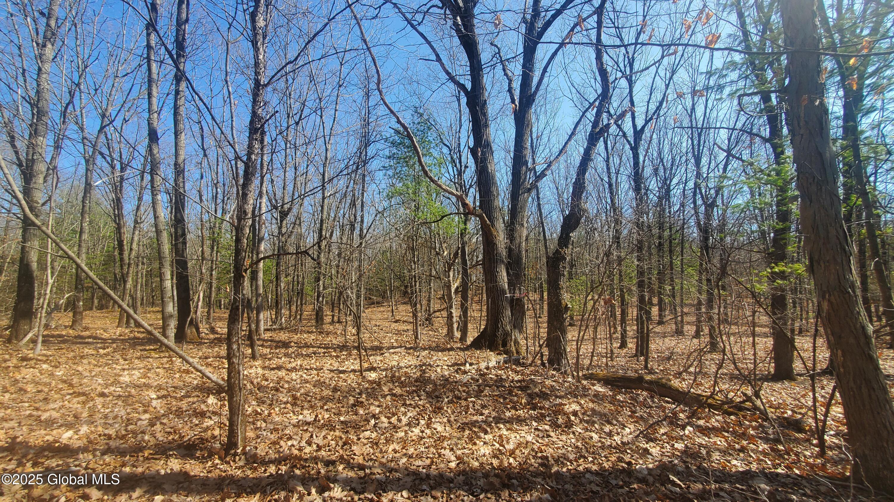 L25 Fischer Road Kinderhook NY 12106