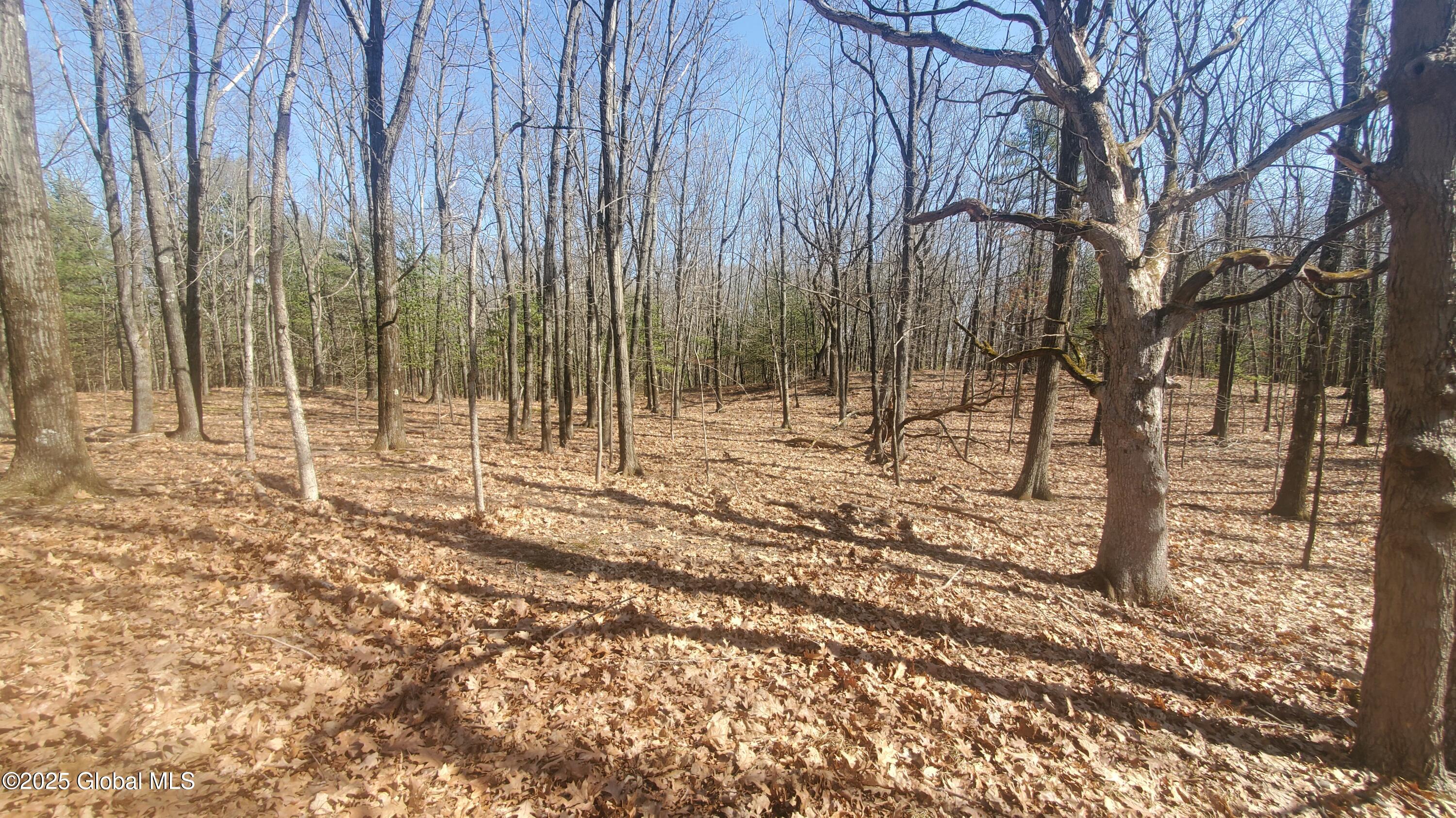 L25 Fischer Road Kinderhook NY 12106