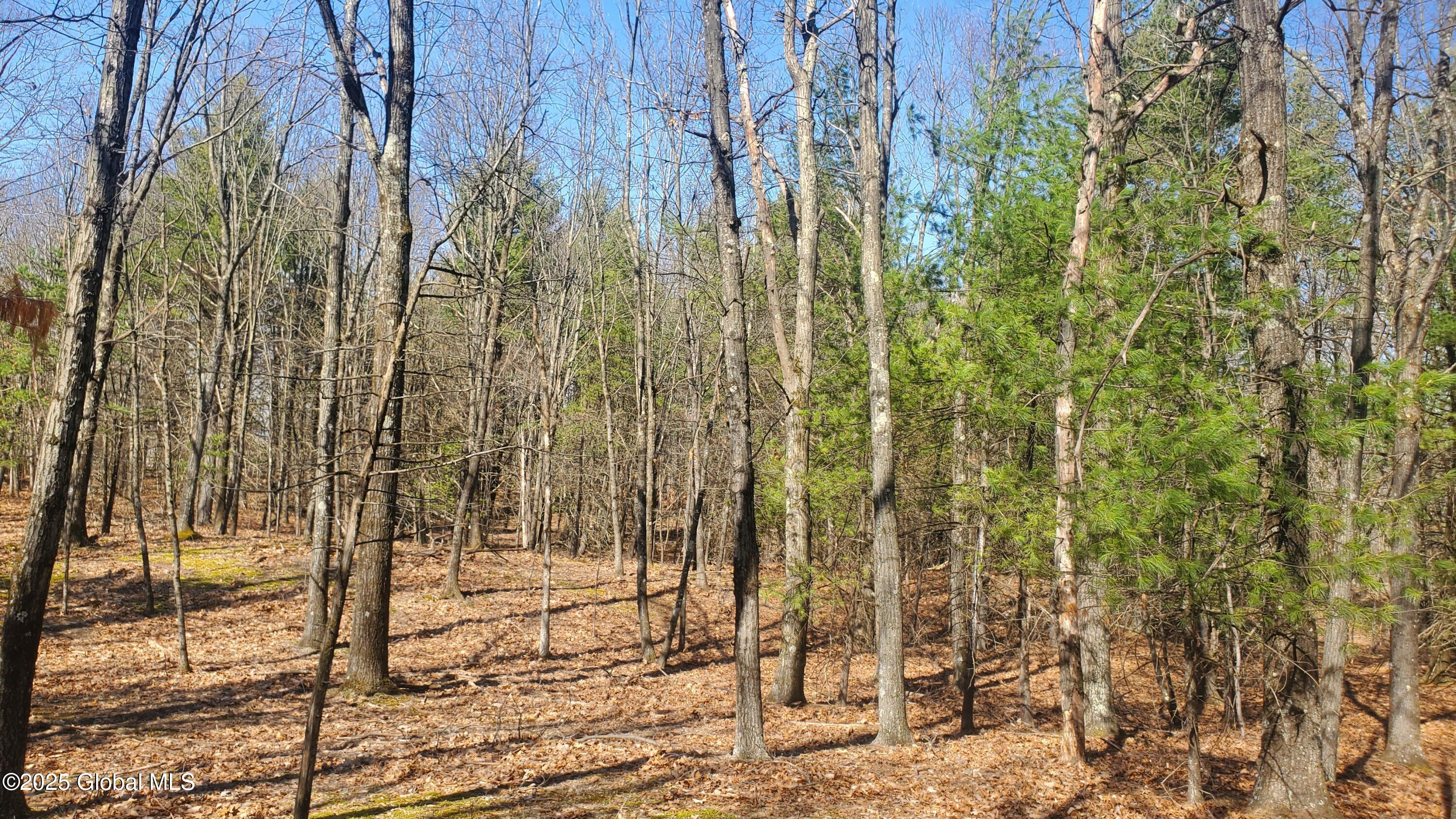 L25 Fischer Road Kinderhook NY 12106