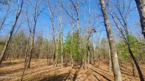 L25 Fischer Road Kinderhook NY 12106