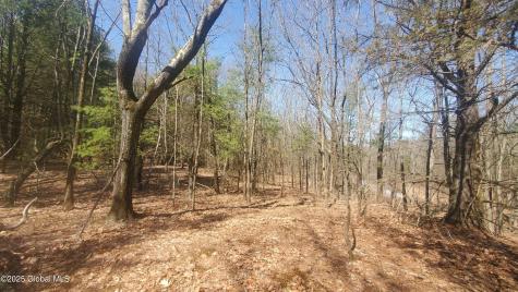 L25 Fischer Road Kinderhook NY 12106