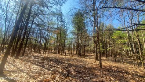 L25 Fischer Road Kinderhook NY 12106
