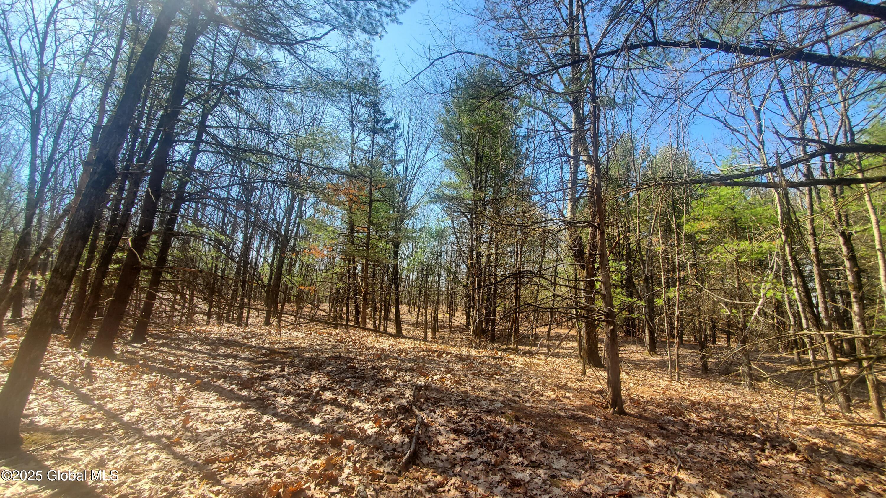 L25 Fischer Road Kinderhook NY 12106