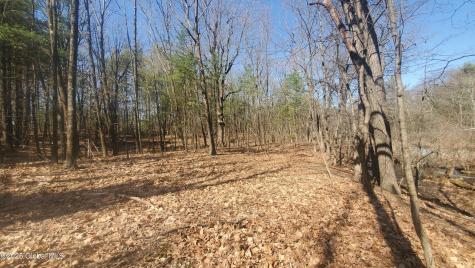 L25 Fischer Road Kinderhook NY 12106
