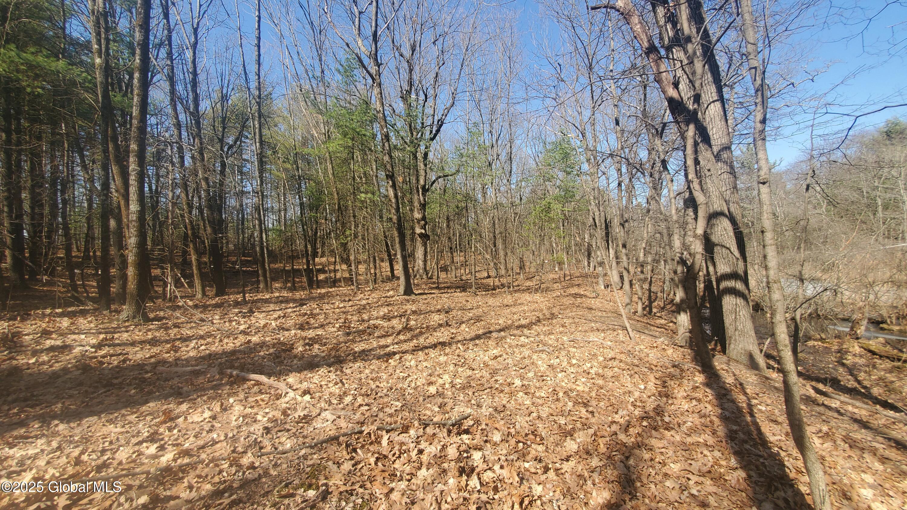 L25 Fischer Road Kinderhook NY 12106
