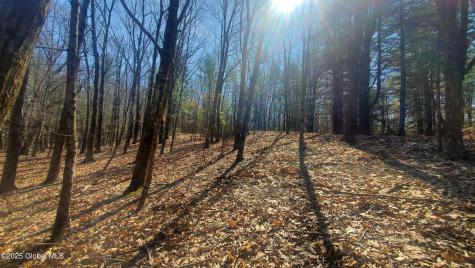 L25 Fischer Road Kinderhook NY 12106