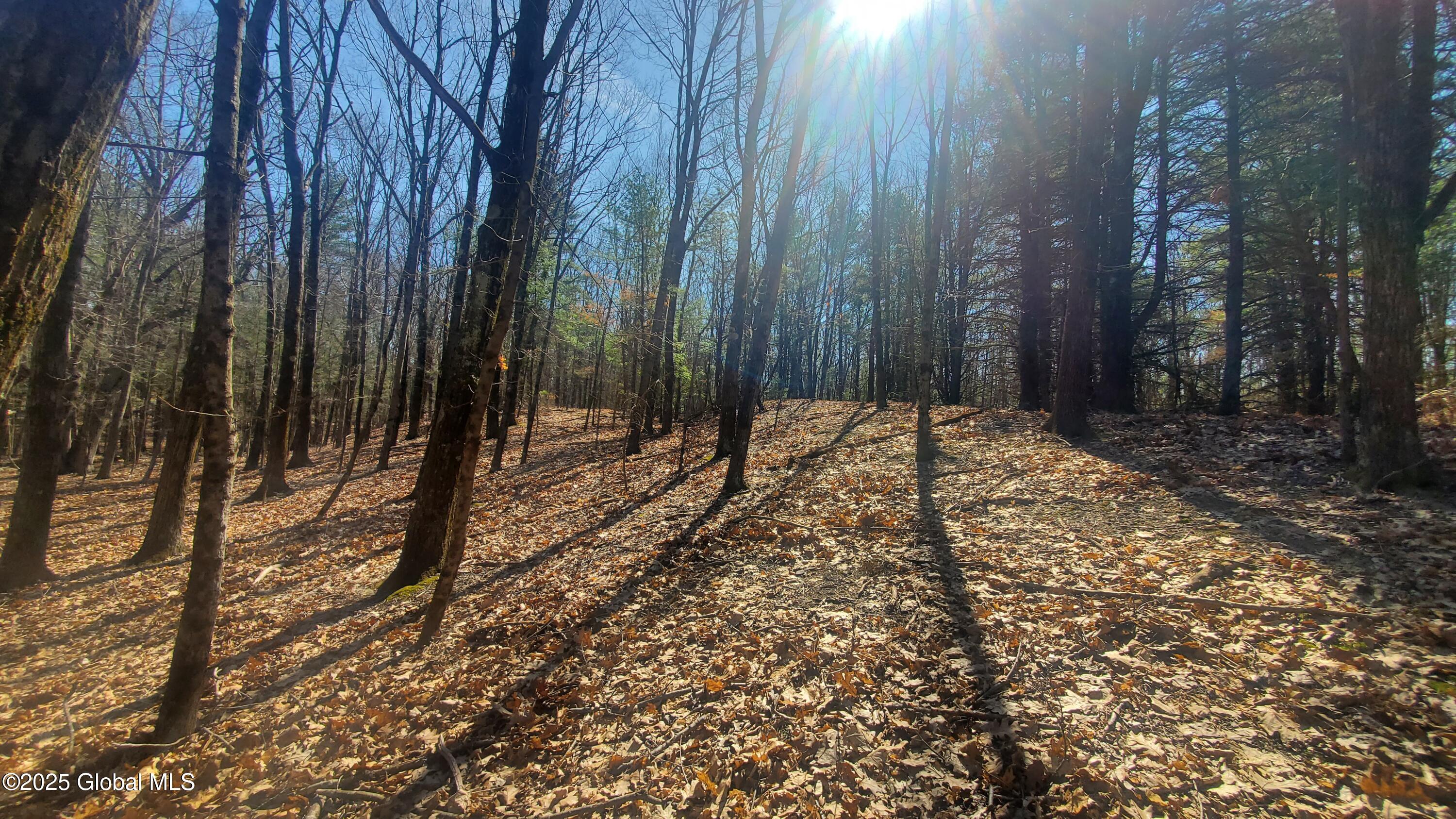 L25 Fischer Road Kinderhook NY 12106