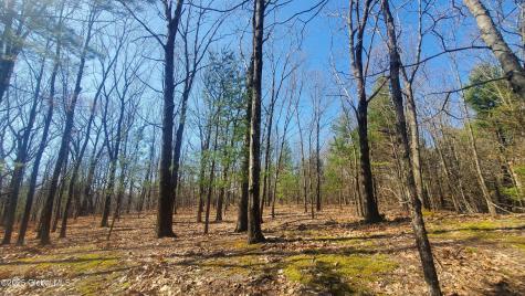 L25 Fischer Road Kinderhook NY 12106