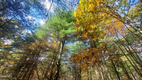 L25 Fischer Road Kinderhook NY 12106