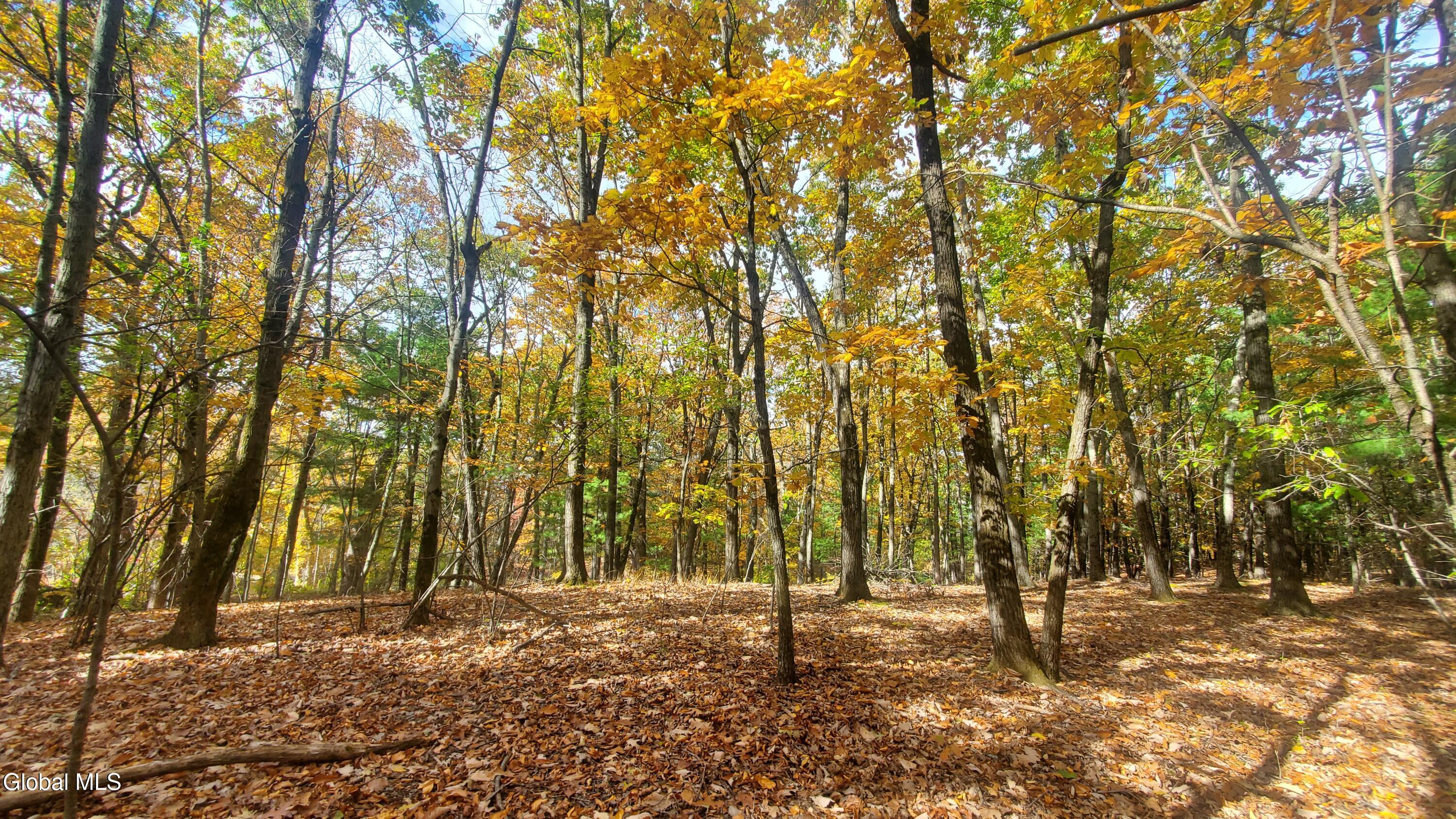 L25 Fischer Road Kinderhook NY 12106
