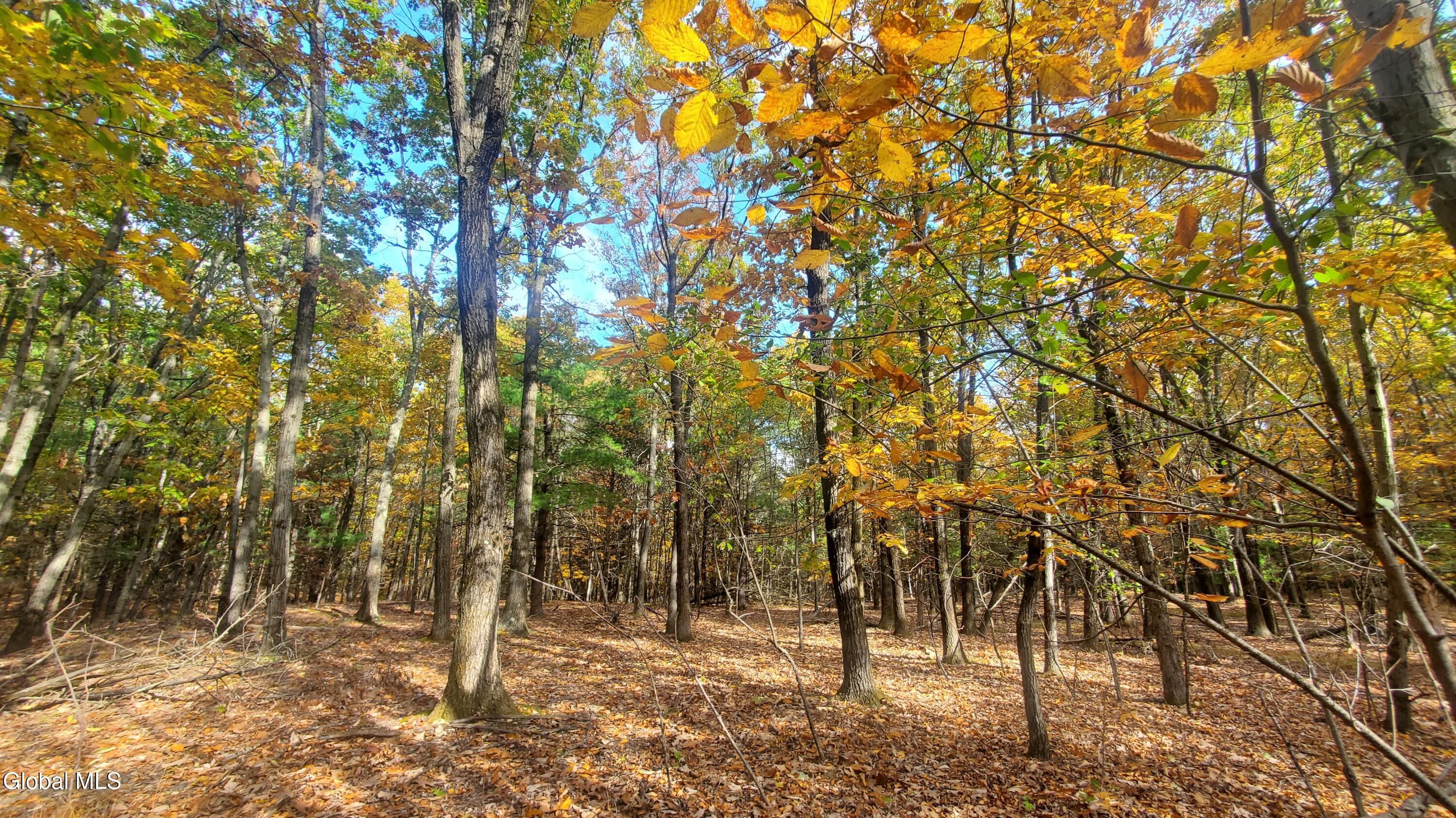 L25 Fischer Road Kinderhook NY 12106