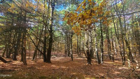 L25 Fischer Road Kinderhook NY 12106