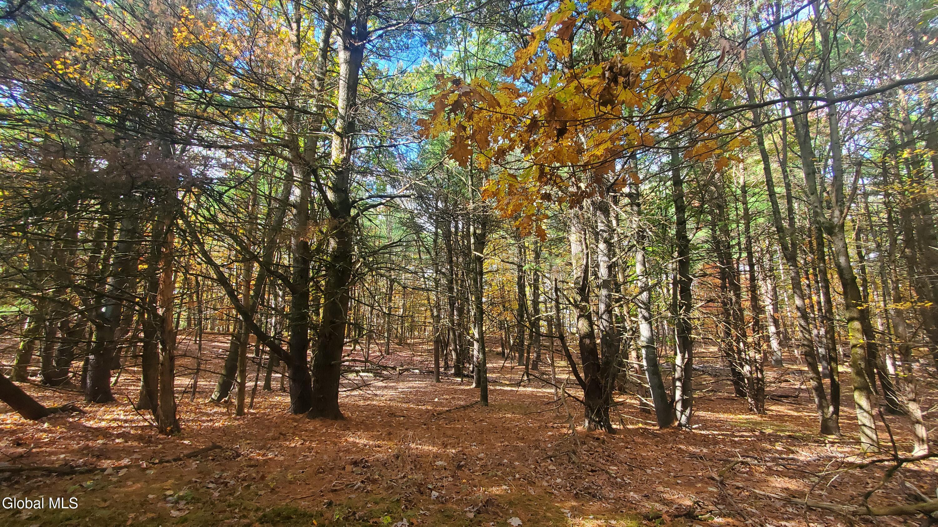 L25 Fischer Road Kinderhook NY 12106