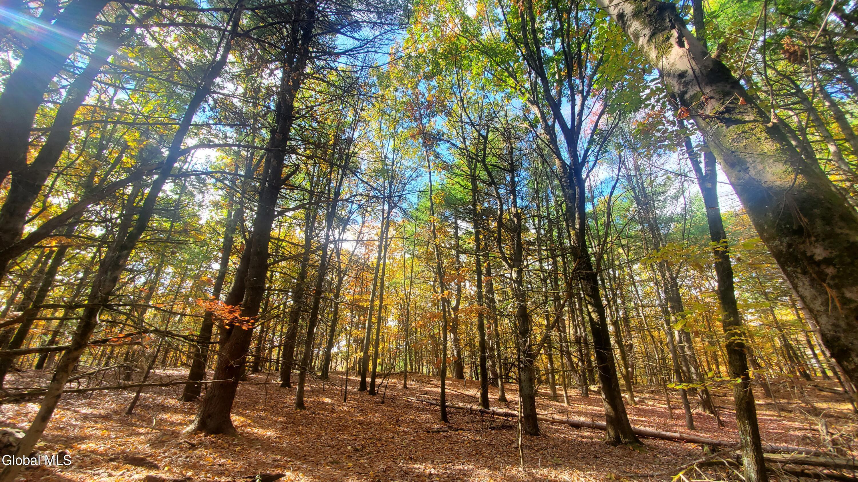 L25 Fischer Road Kinderhook NY 12106