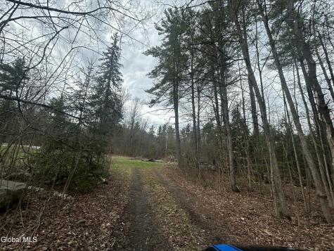 610 Liddle Harris Road Putnam Station NY 12861