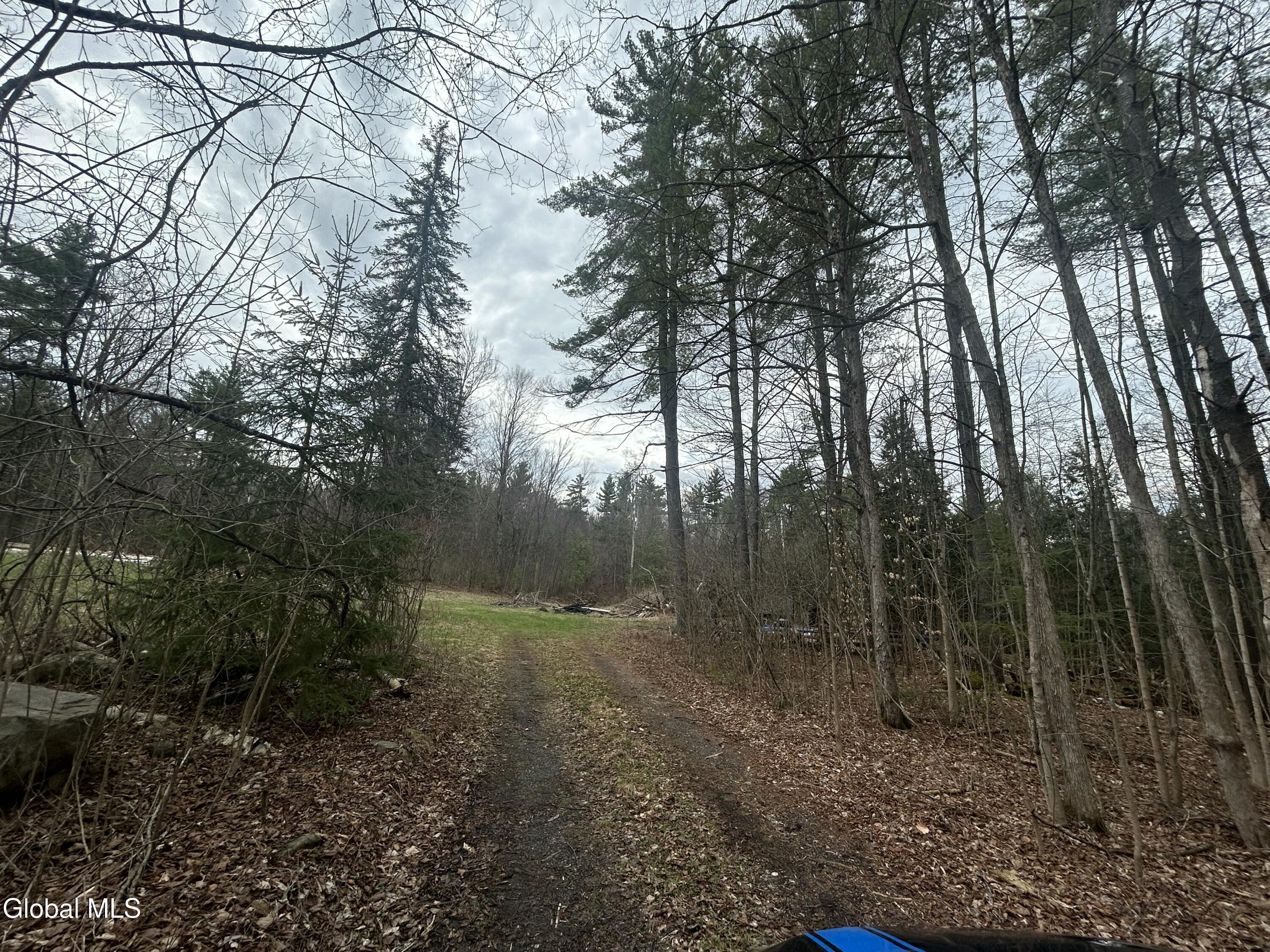 610 Liddle Harris Road Putnam Station NY 12861