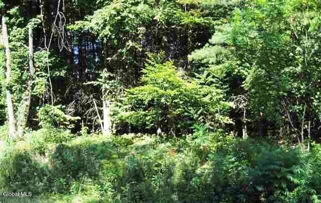 34 Clothier Road Corinth NY 12822