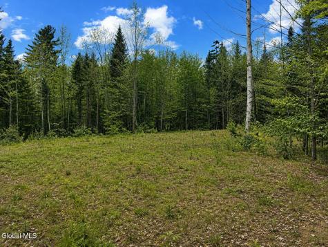 L89 Highview Lane Wevertown NY 12886