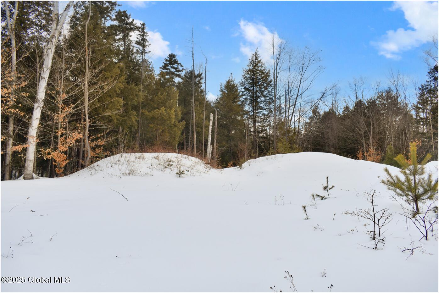 L89 Highview Lane Wevertown NY 12886