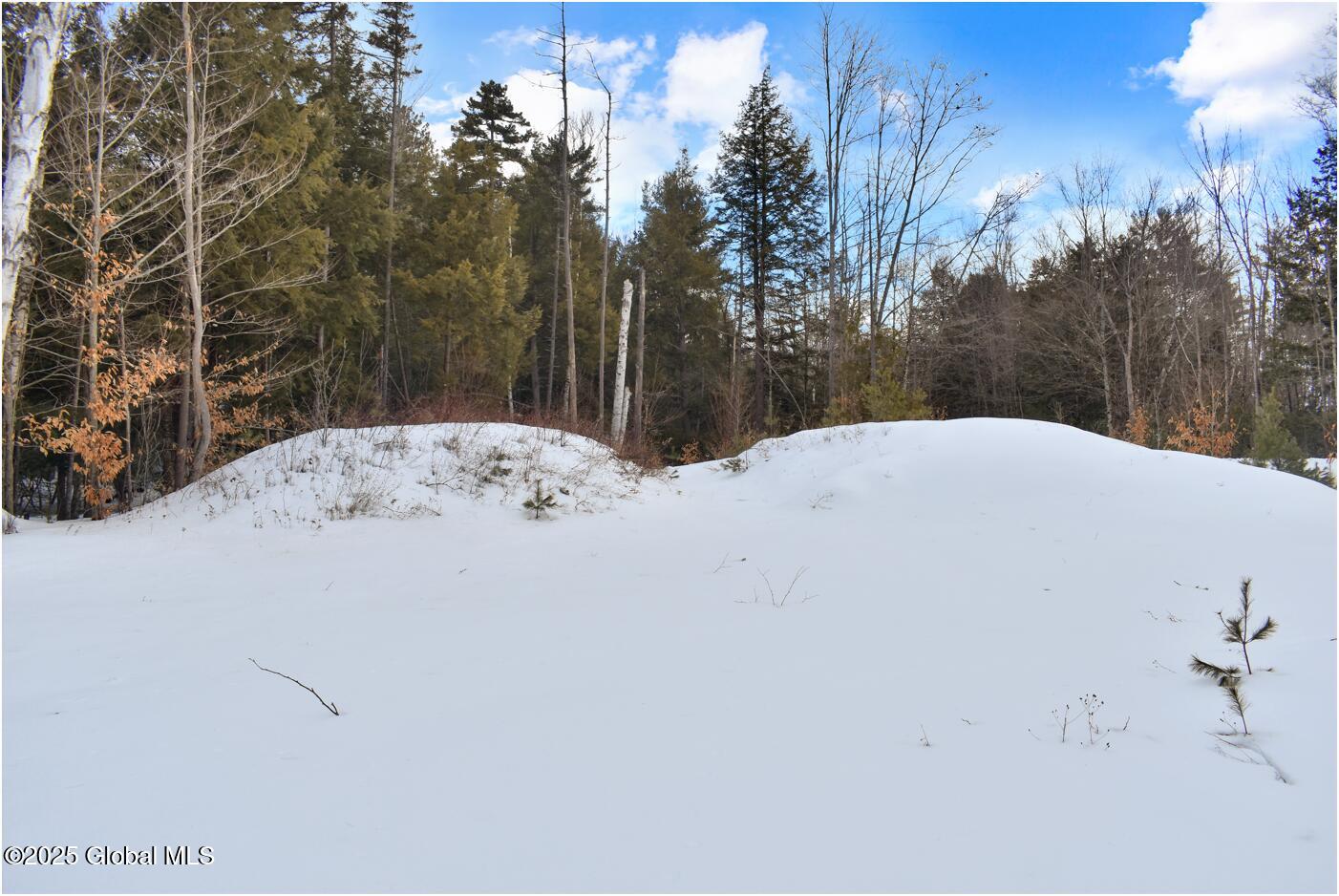 L89 Highview Lane Wevertown NY 12886