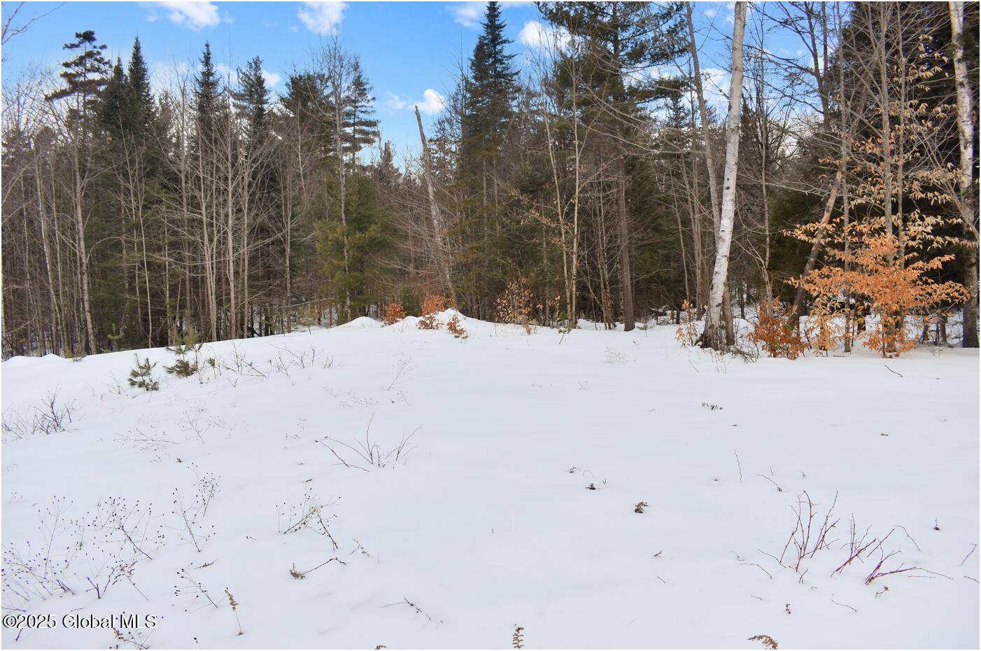 L89 Highview Lane Wevertown NY 12886