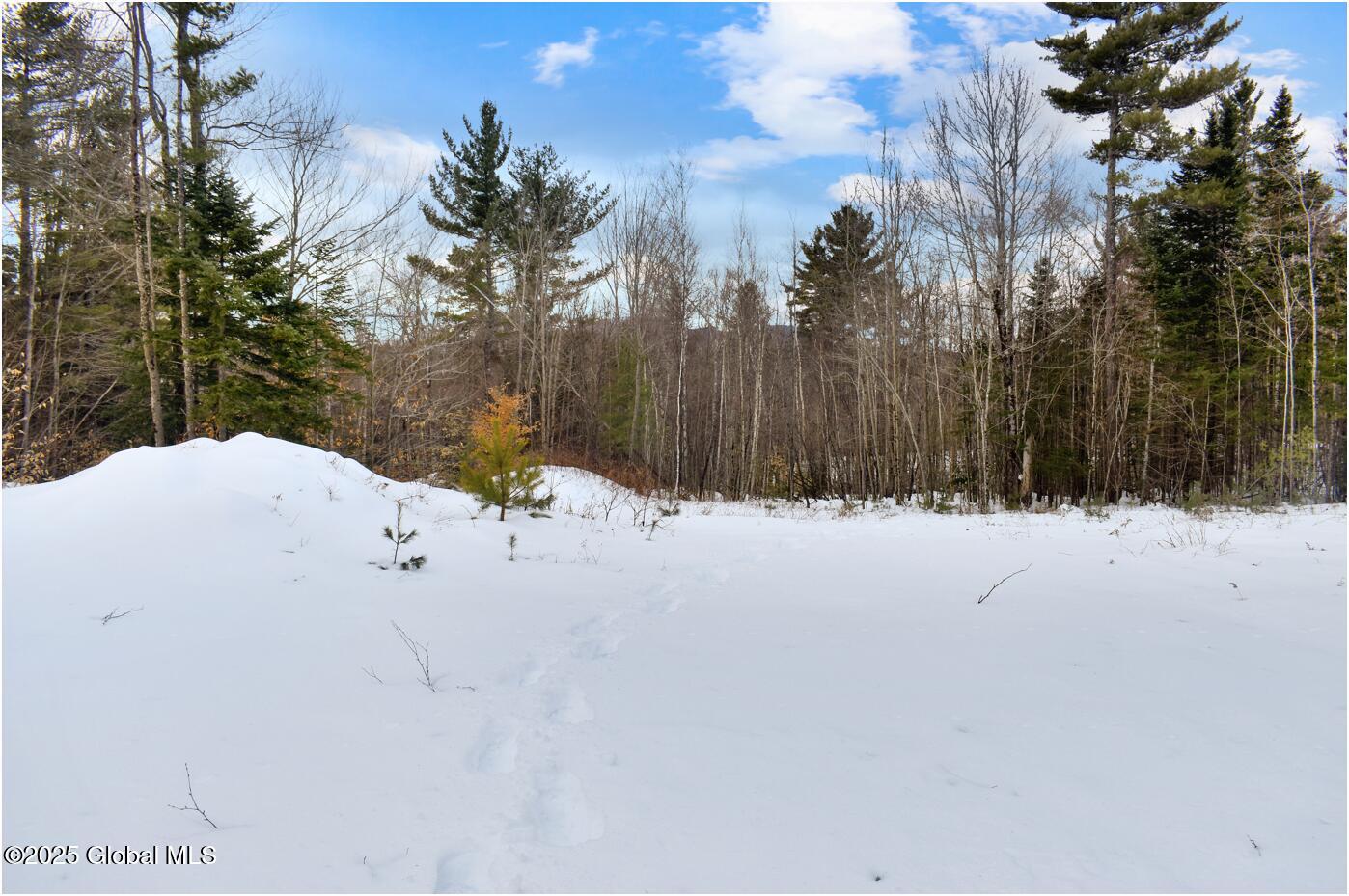 L89 Highview Lane Wevertown NY 12886