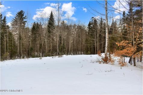 L89 Highview Lane Wevertown NY 12886