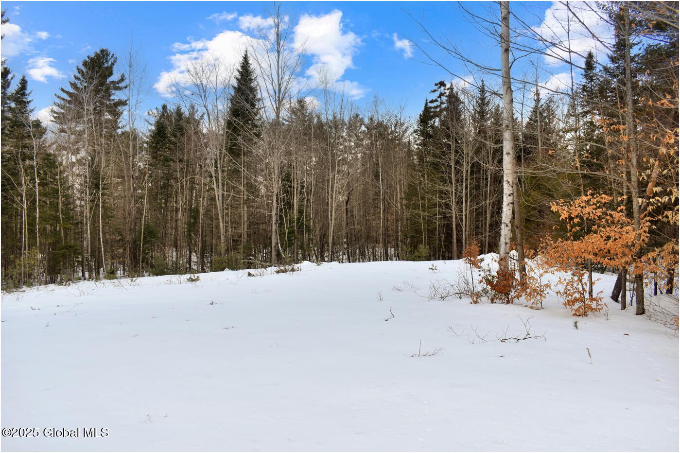 L89 Highview Lane Wevertown NY 12886