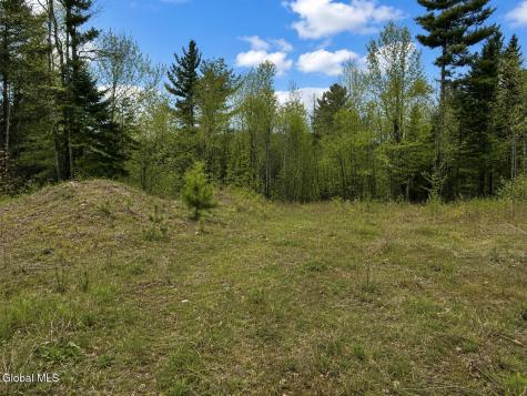 L89 Highview Lane Wevertown NY 12886