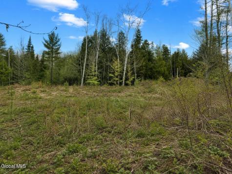 L89 Highview Lane Wevertown NY 12886