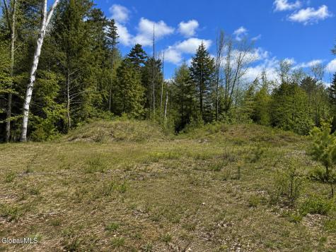 L89 Highview Lane Wevertown NY 12886