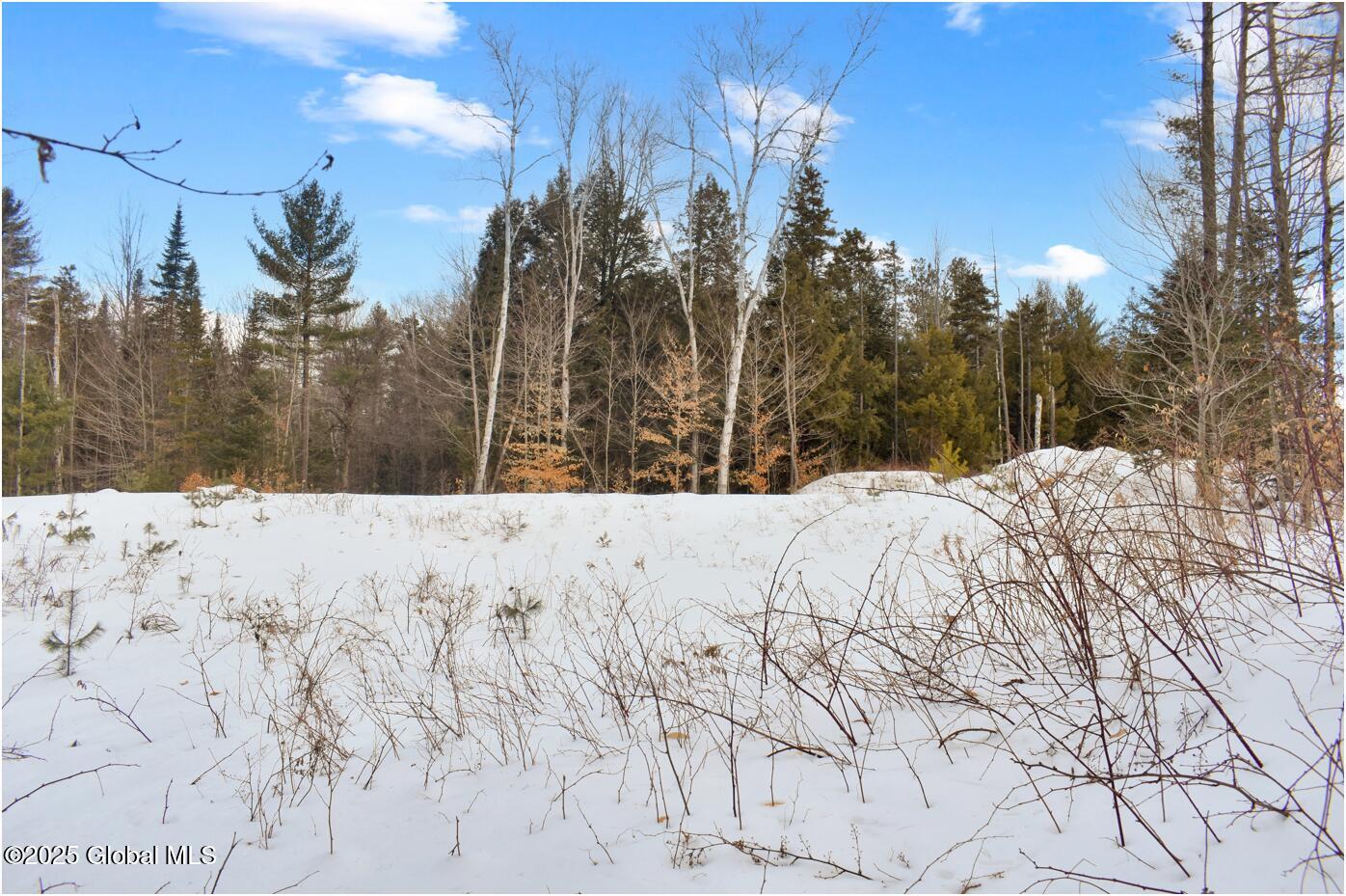 L89 Highview Lane Wevertown NY 12886