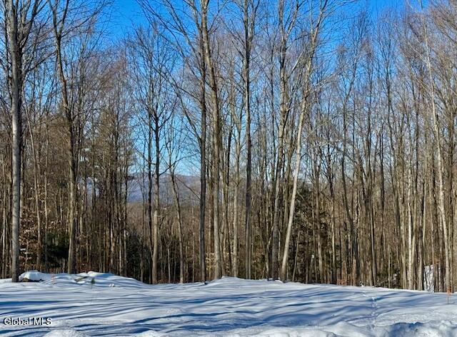 36 Lincoln Mountain Road Greenfield Center NY 12833