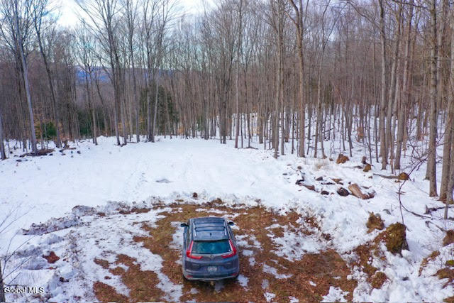 36 Lincoln Mountain Road Greenfield Center NY 12833