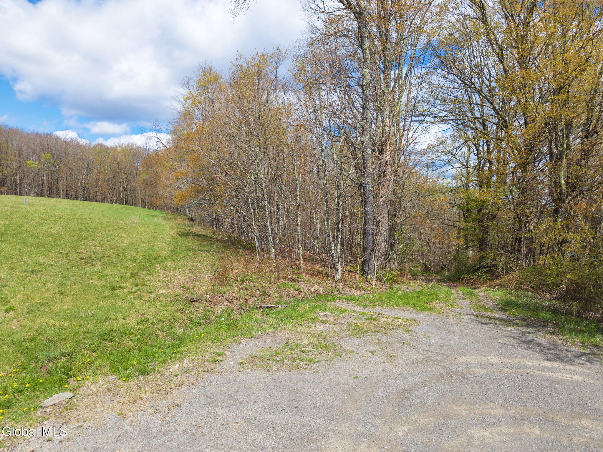 L25 Fuller District Road Jefferson NY 12093