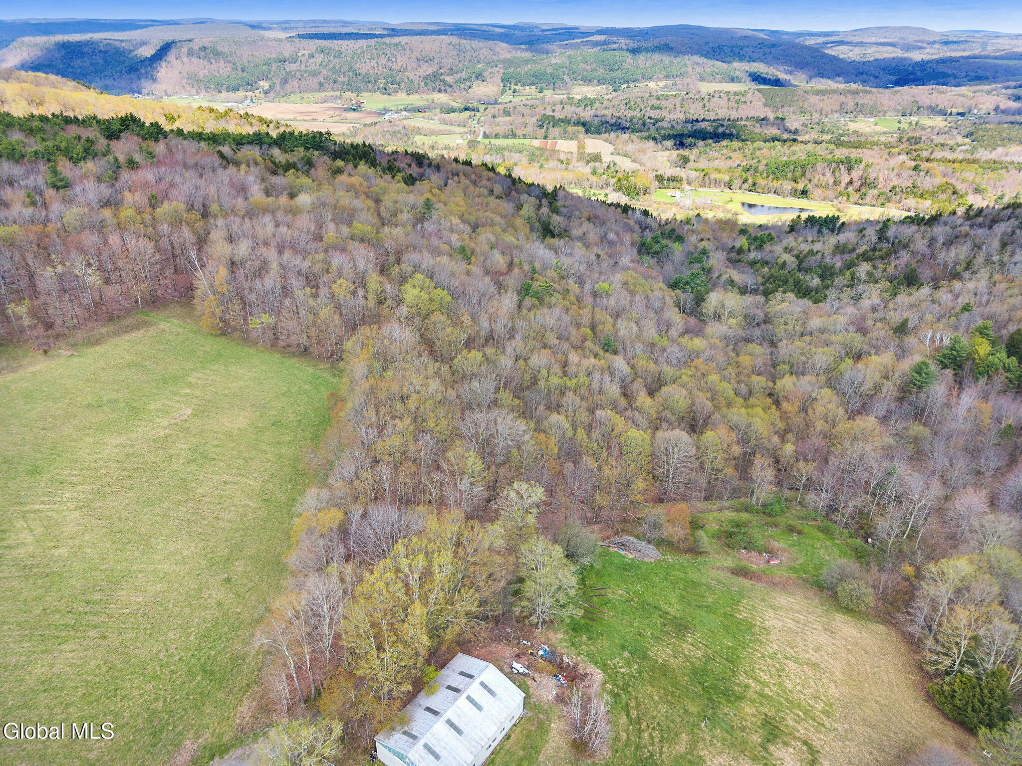 L25 Fuller District Road Jefferson NY 12093