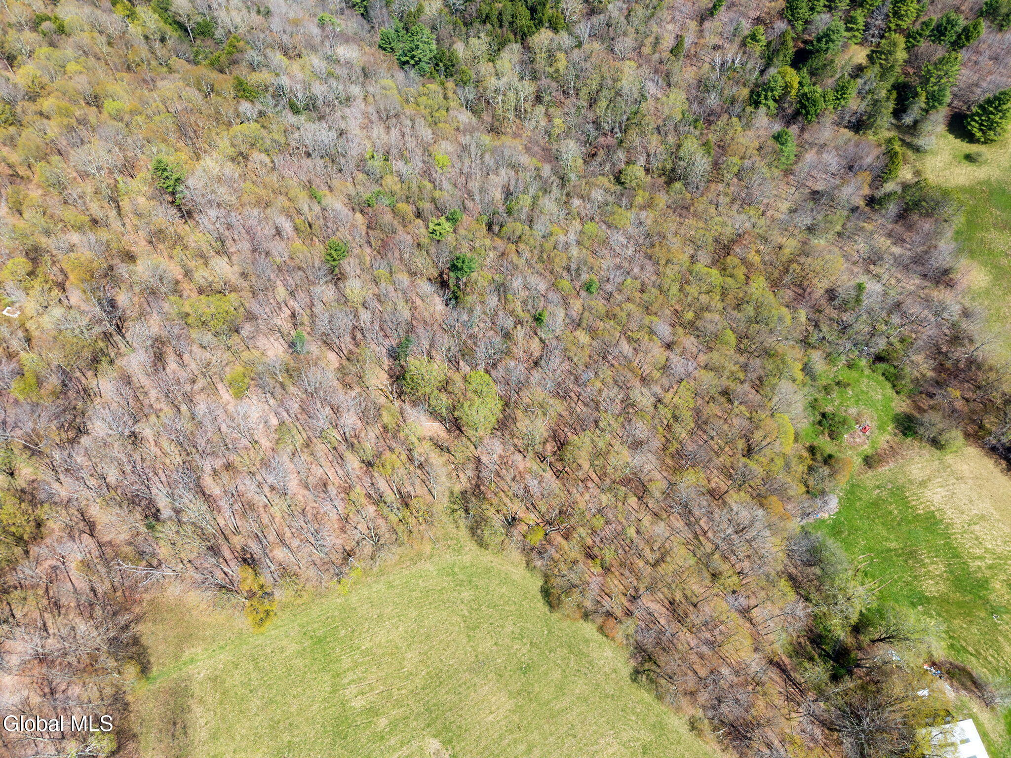 L25 Fuller District Road Jefferson NY 12093